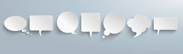 voice of the customer